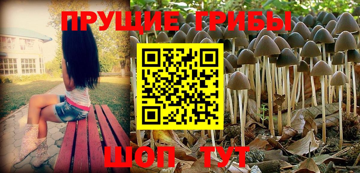Галлюциногенные грибы Psilocybe  Вход с VPN  Ижевск 